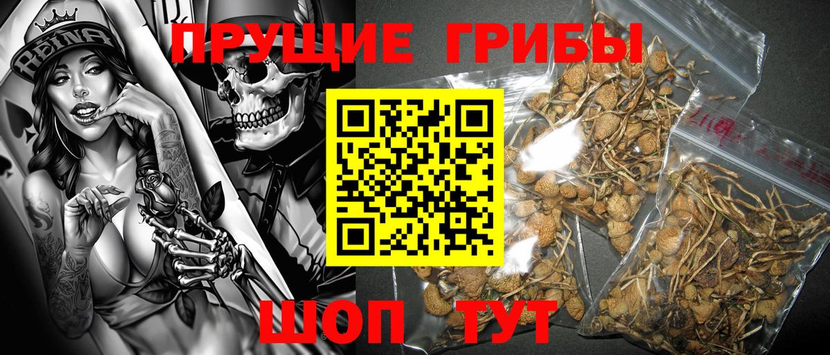 Лсд 25  Кириши  MDMA  ЭКСТАЗИ  Каннабис  Меф МЯУ МЯУ   Вход с VPN  КОКАИН  Бошки Шишки 