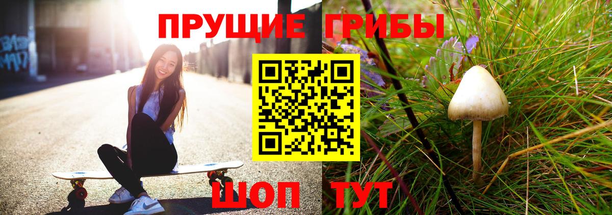 Галлюциногенные грибы GOLDEN TEACHER Кириши